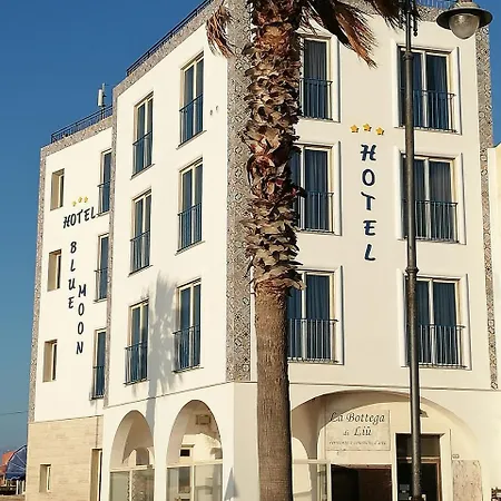 Blue Moon Hotel-2